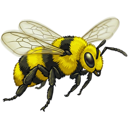 Bee